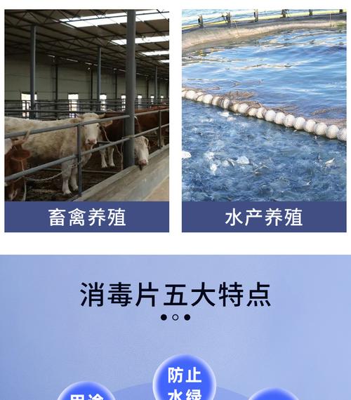 消毒片全攻略 三氯异氰尿酸、次氯酸、84泡腾片在泳池、家庭、学校及养殖场的正确使用指南