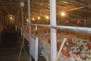 自动养殖温控锅炉咨询_机械及行业设备_世界工厂网